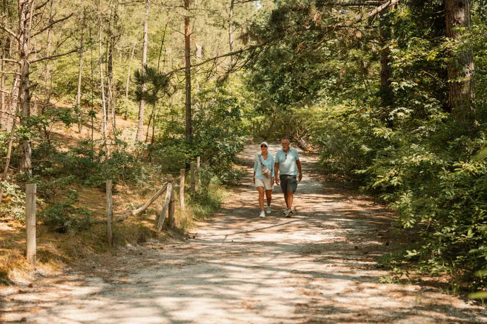 Stel wandelt over een breed zandpad door het zonnige bos